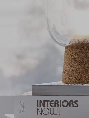 Leo uteu ullamcorper