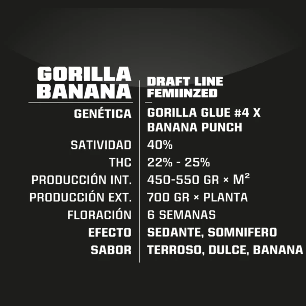GORILLA BANANA 2