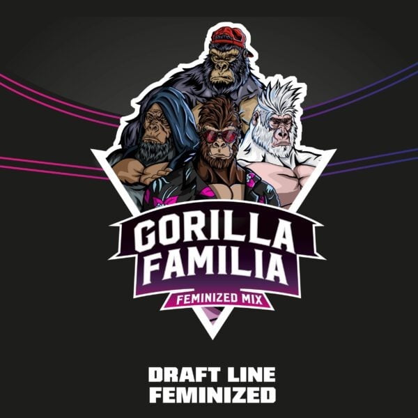 Gorilla Familia Fem Mix