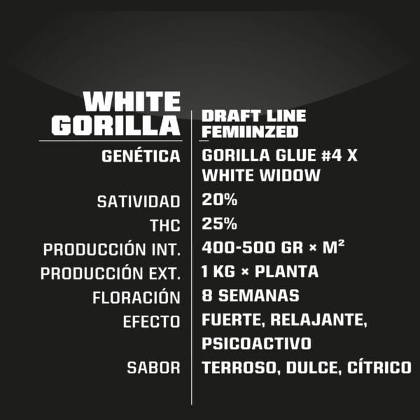 White Gorilla 2