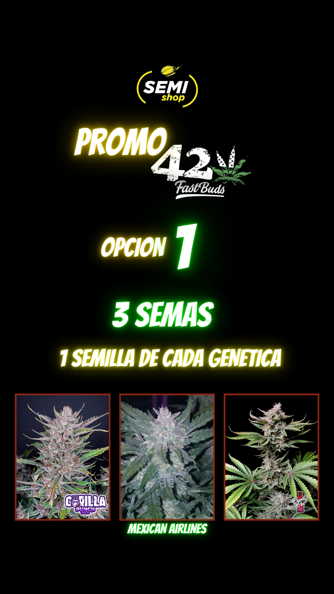 1 Promo 420 Opcion 1