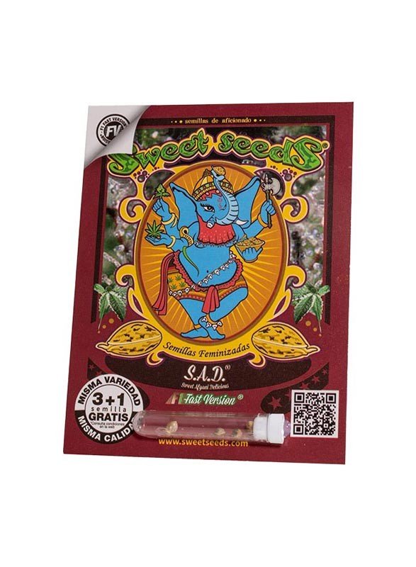 Sad sweet afgani delicious f1 fast version