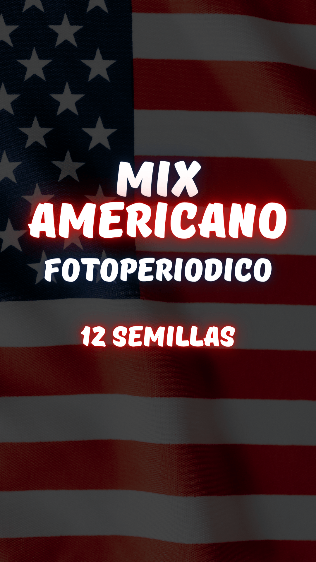 Mix Americano Fotoperiodico