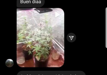 Noticias