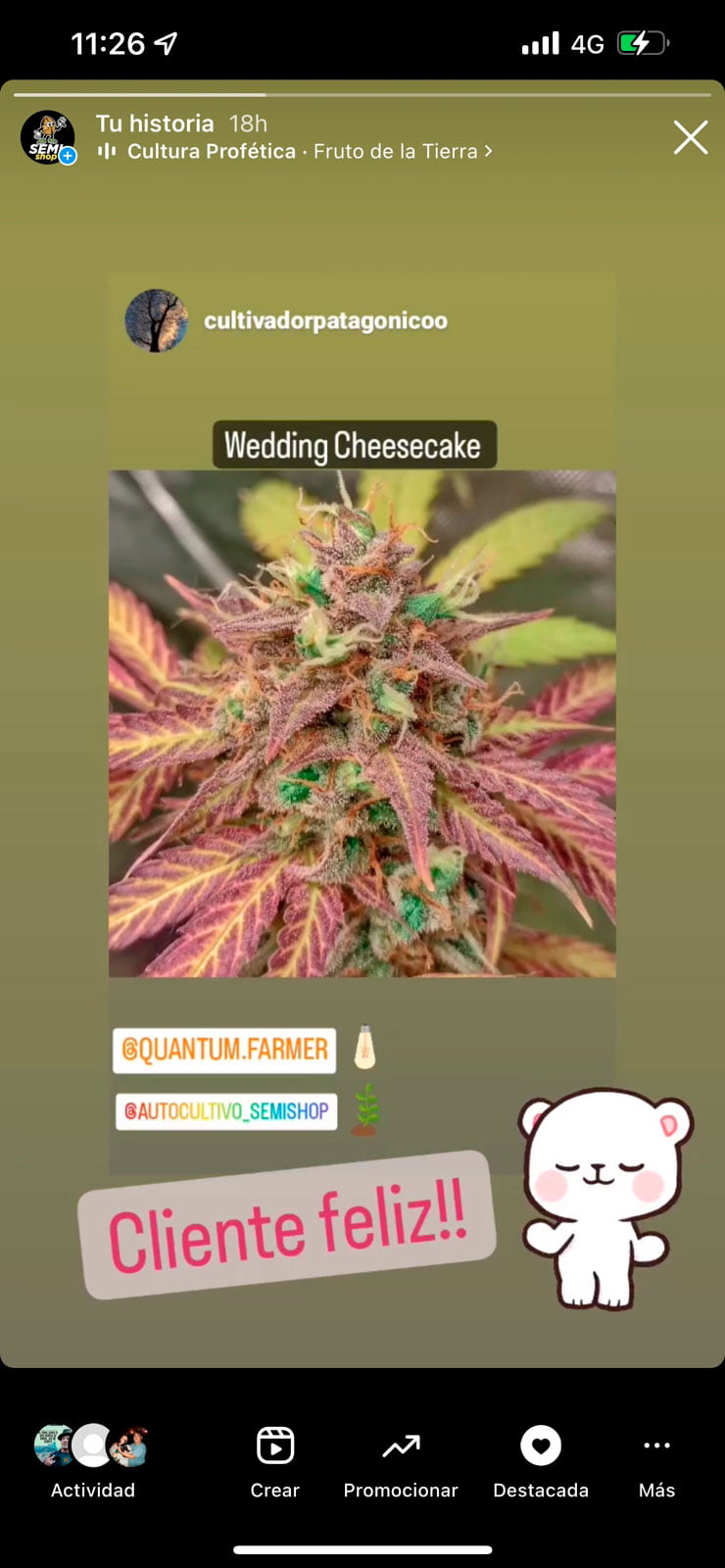 Cultivador patagonico