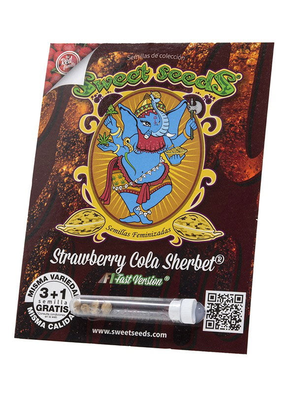 Strawberry Cola Shertbet F1 - Image 3