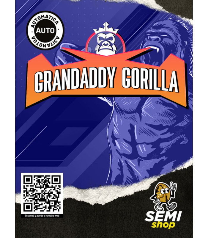 Auto Grandaddy Gorilla - Image 2
