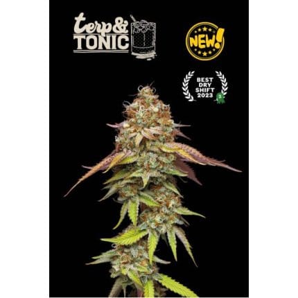 Terp & Tonic