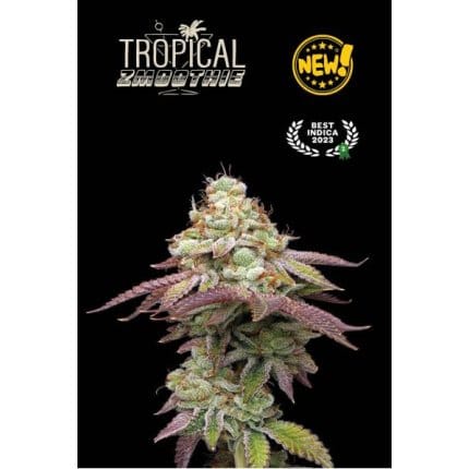 Tropical Zmoothie