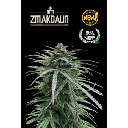 Zmäkdaun