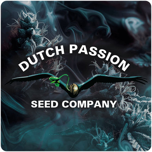 Dutch Passion