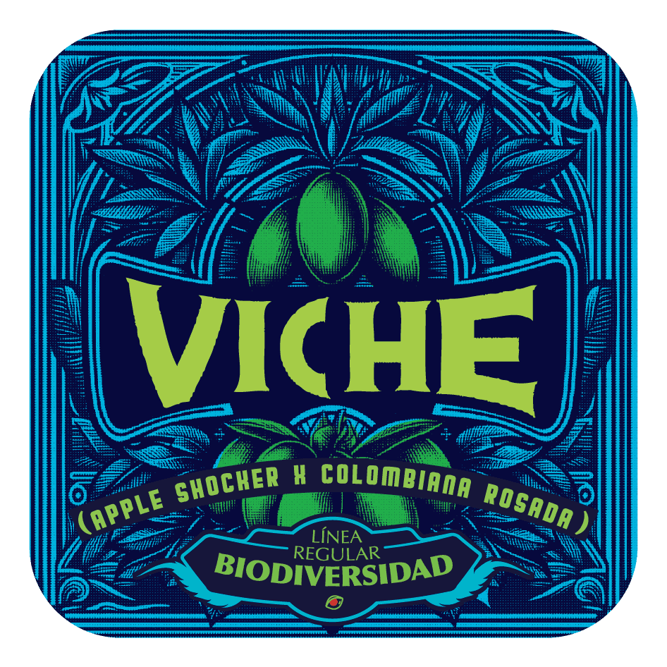 Viche